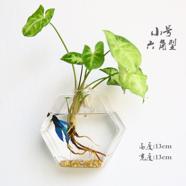 The Wall-Hanging Glass Vase Everyone Wants