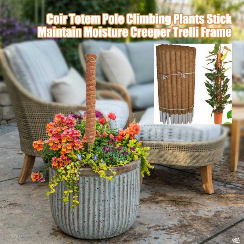 Plant Climbing Coconut Totem Poles