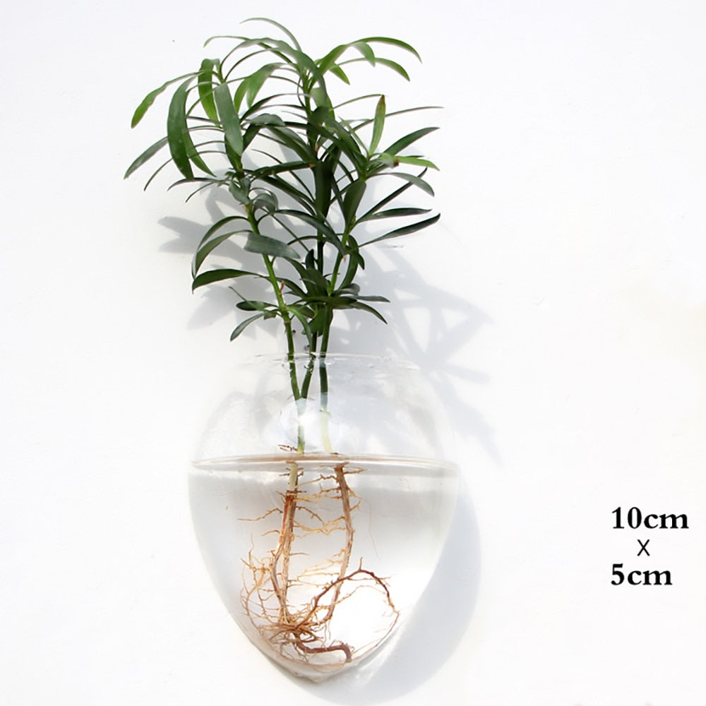 The Wall-Hanging Glass Vase Everyone Wants