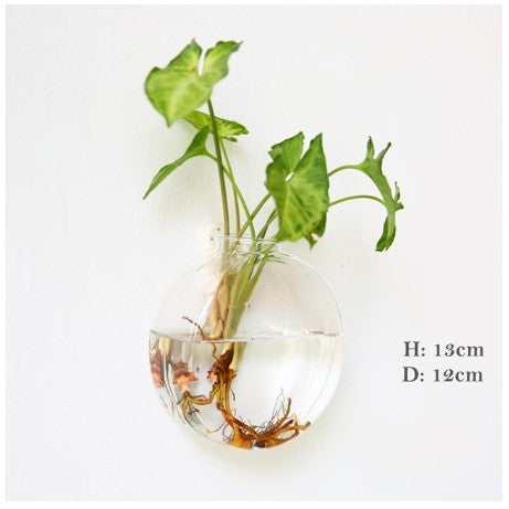 The Wall-Hanging Glass Vase Everyone Wants