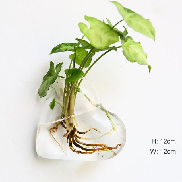The Wall-Hanging Glass Vase Everyone Wants