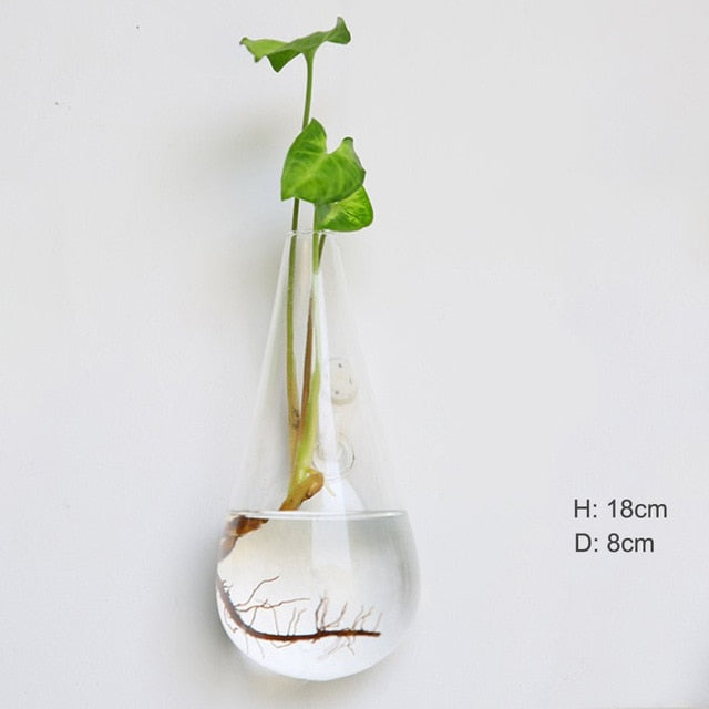 The Wall-Hanging Glass Vase Everyone Wants