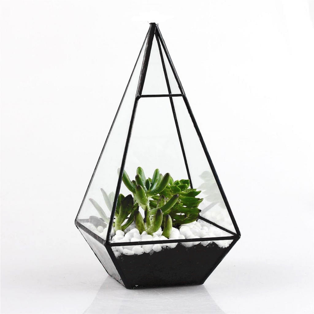 Chic Pyramid Glass Terrarium
