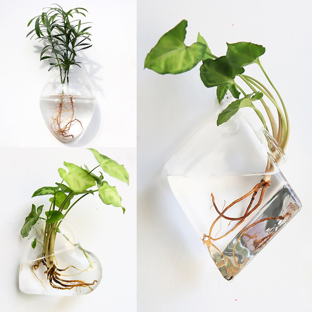 The Wall-Hanging Glass Vase Everyone Wants