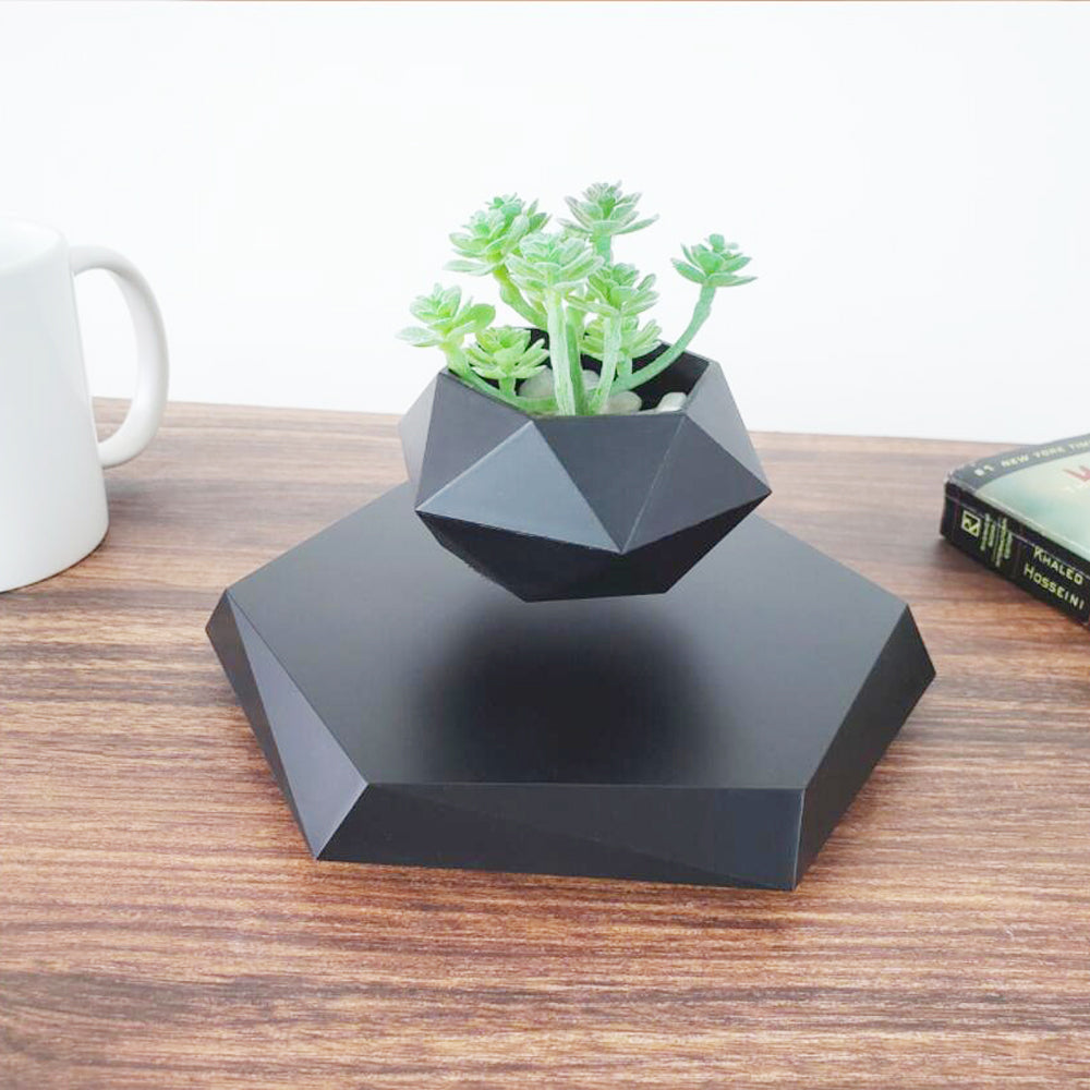 Eye-Catching Levitating Flower Pot