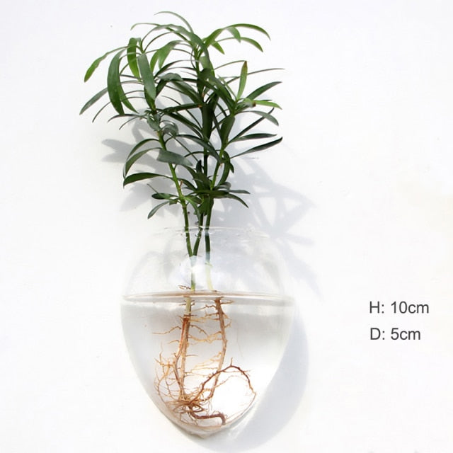 The Wall-Hanging Glass Vase Everyone Wants