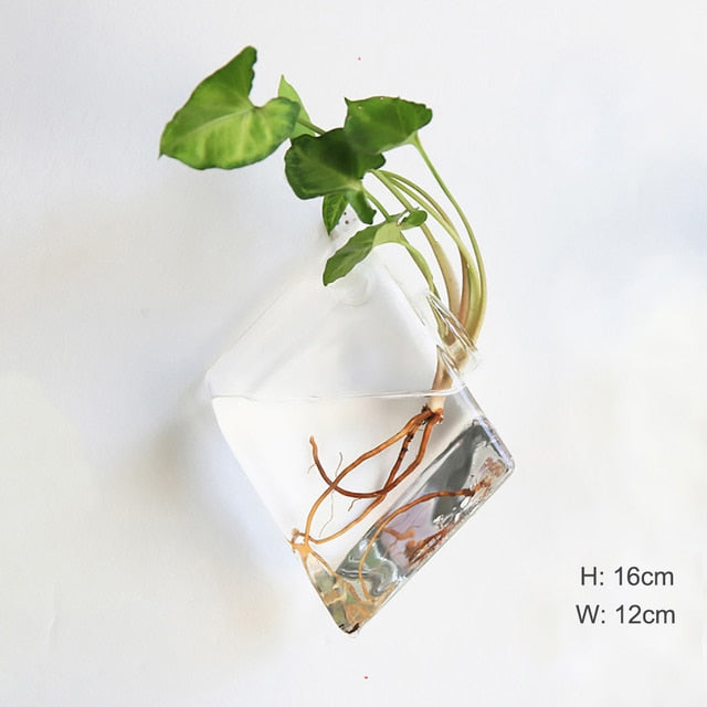 The Wall-Hanging Glass Vase Everyone Wants