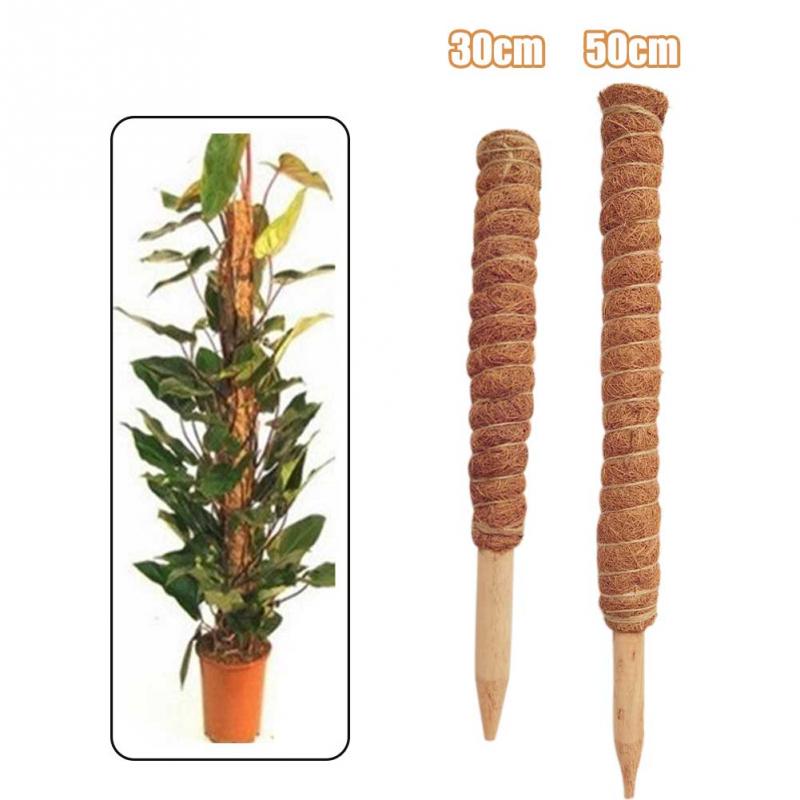 Plant Climbing Coconut Totem Poles