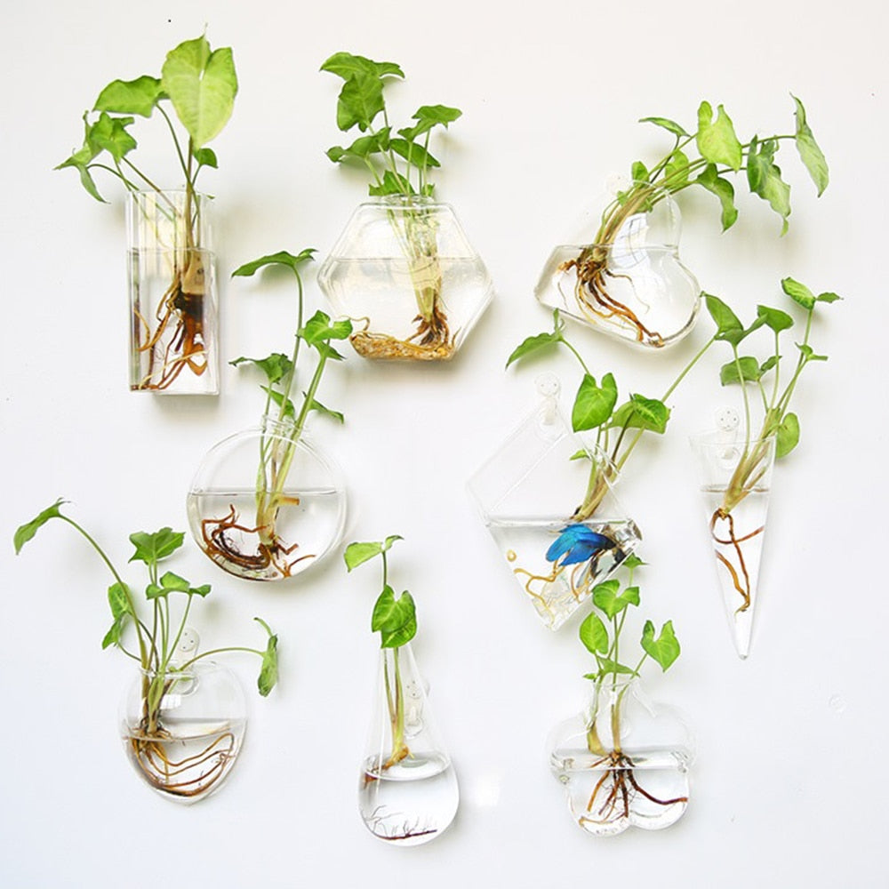 The Wall-Hanging Glass Vase Everyone Wants