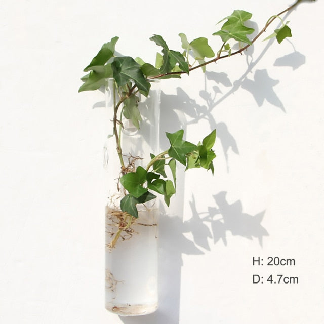 The Wall-Hanging Glass Vase Everyone Wants