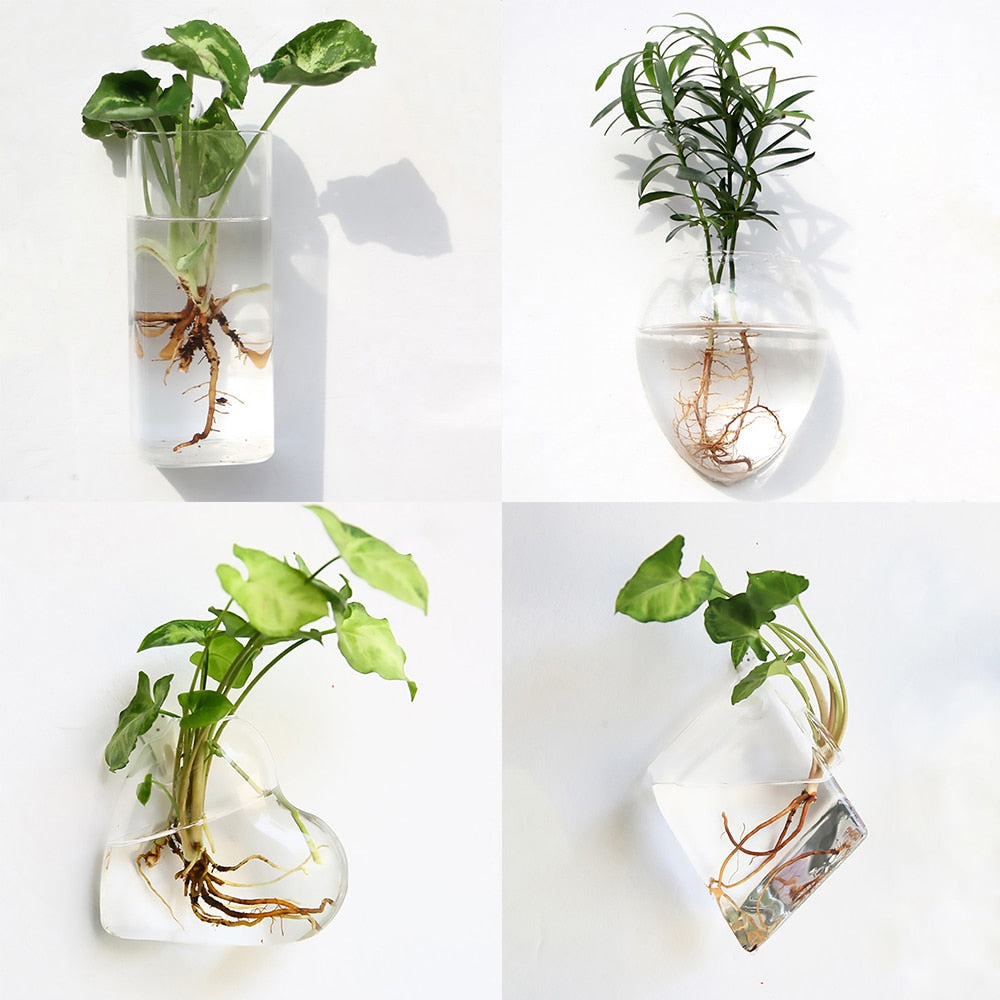 The Wall-Hanging Glass Vase Everyone Wants